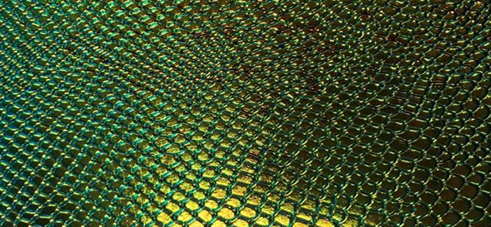 Textured Iridescent Leather